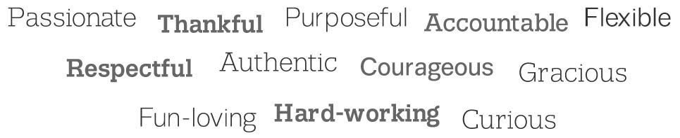 Passionate Thankful Purposeful Accountable Dlexible Respectgul Authentic Courageour Gracious Fun-loving Hard-working Curious