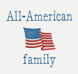Example of an American Flag Icon-It