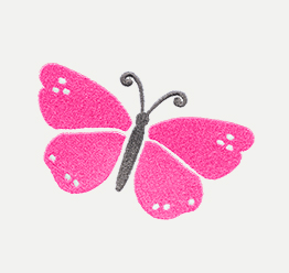 Example of a Flutter