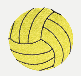 Example of a Volleyball