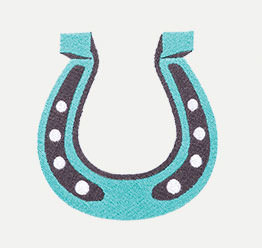 Example of a Horseshoe