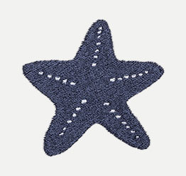 Example of a Starfish icon