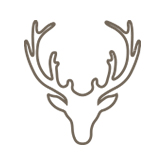 Example of an antler etching