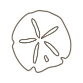 Example of a sand dollar etching