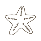 Example of a starfish etching
