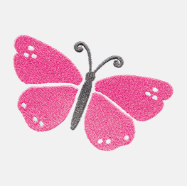Example of a Flutter