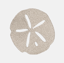 Example of a sand dollar icon-it