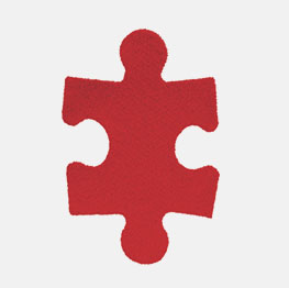 Example of a Puzzle Piece