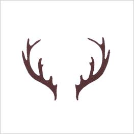 Example of icon-it