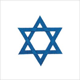 Example of icon-it